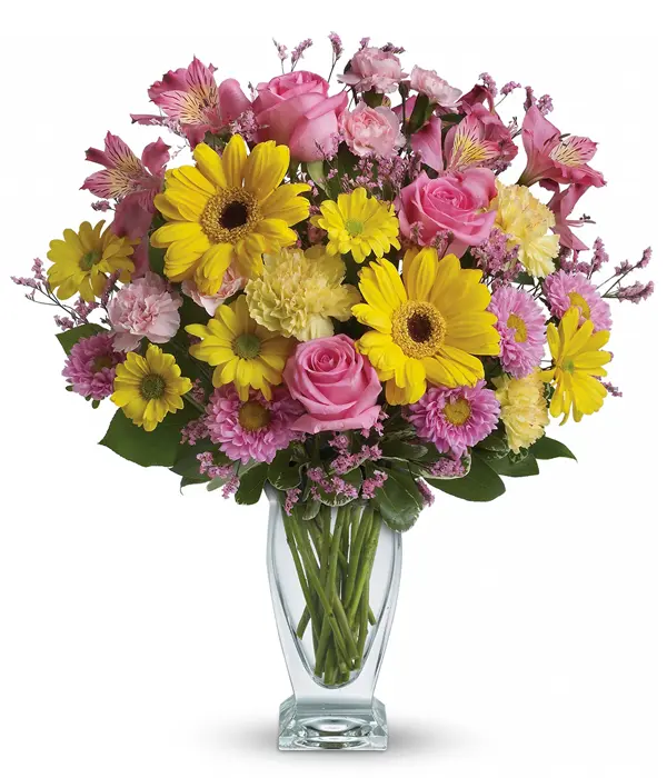 Daisies